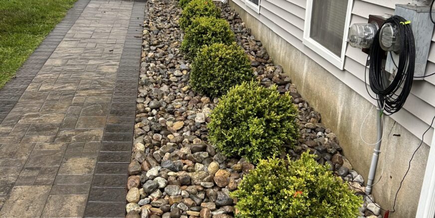 Paverwalkwaywstonebedandbushes